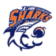 上海久事后备队logo